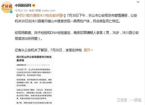 四川枪击案爆料最新进展,案情升级，警方全力追捕嫌疑人