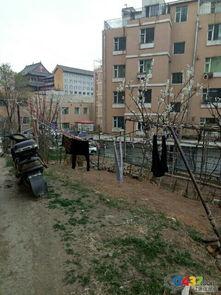 辽源市最新爆料,揭秘城市变革与发展新篇章